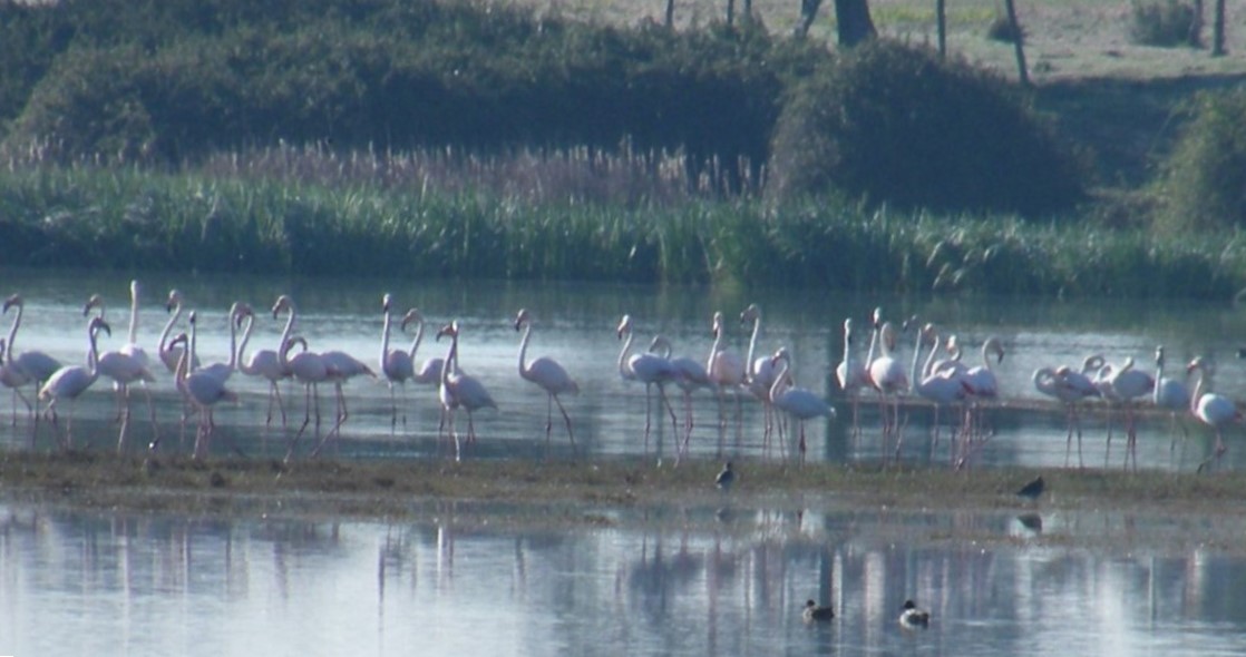 Navigate to this Product's page