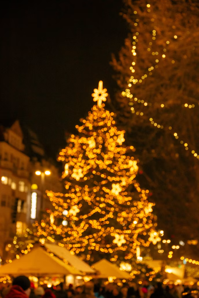 Trip to the Ulverston's Dickensian Christmas Festival